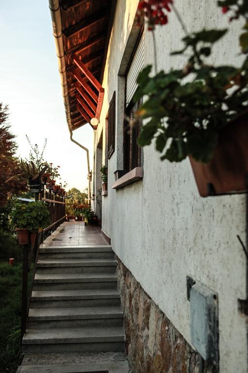 Anna Hunor Hotel Budajeno Buitenkant foto